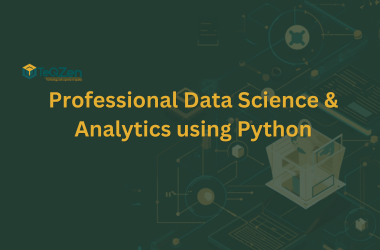 Professional Data Science & Analytics using Python