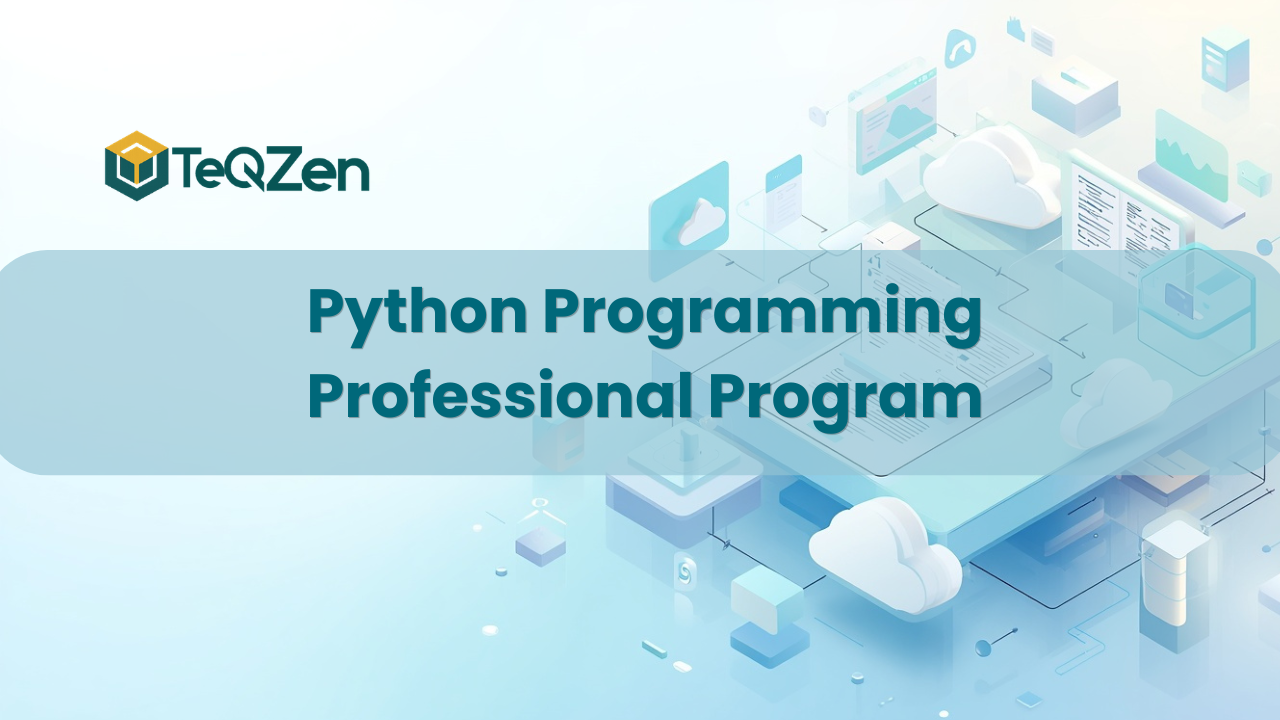 Python Programming Professional Program
